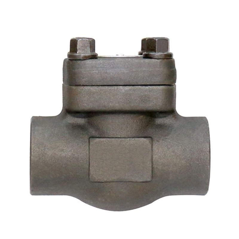 Forged Steel Check Valve