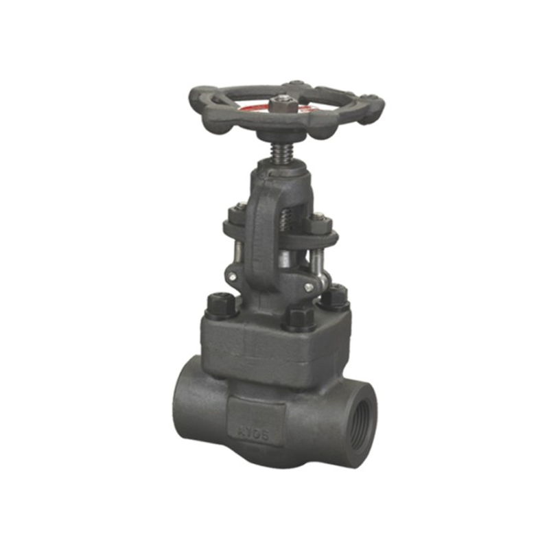Forged Steel Gate Valve