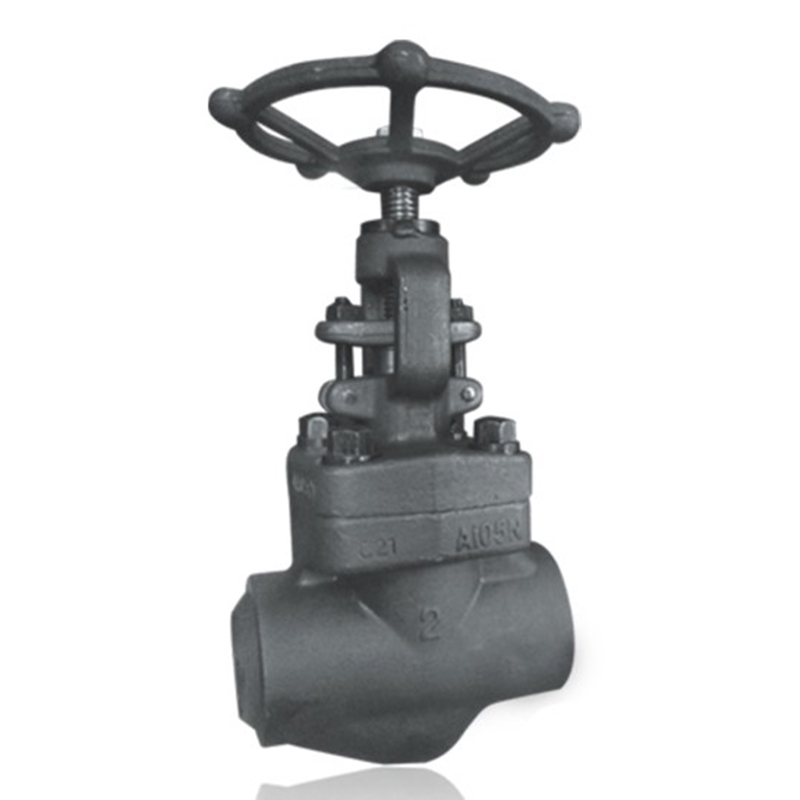 Forged Steel Globe Valve