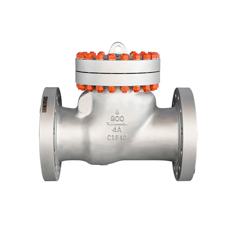 Swing Check Valve