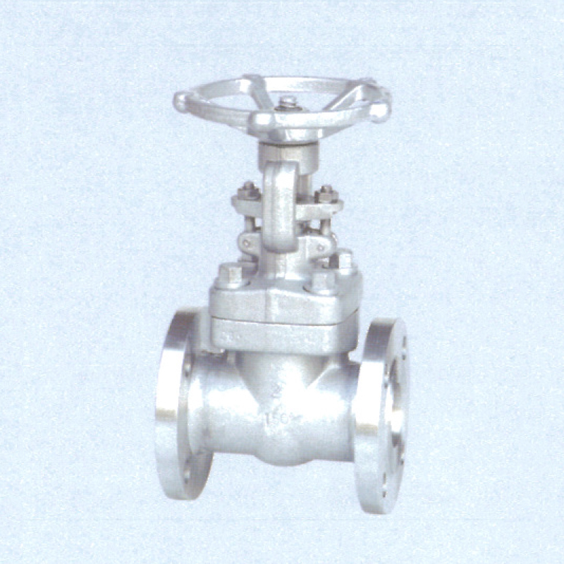 CLASS 150-1500 Forge Steel Gate Valves in Flange & BW Ends