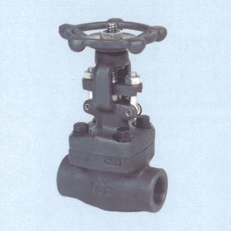 CLASS 150-1500 Forge Steel Gate Valves in NPT & SW Ends