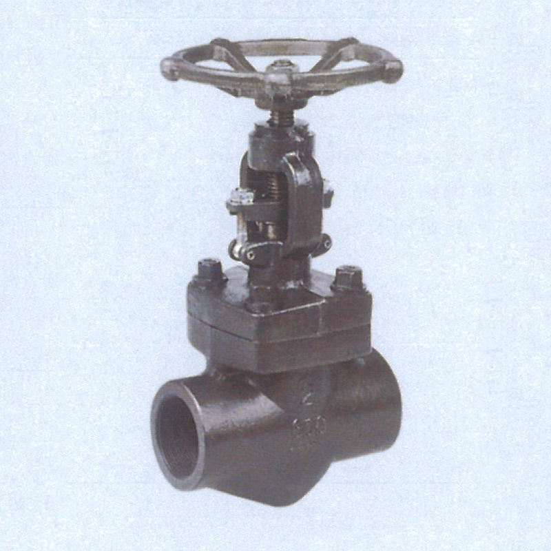 CLASS 150-1500 Forge Steel Globe Valves in NPT & SW Ends