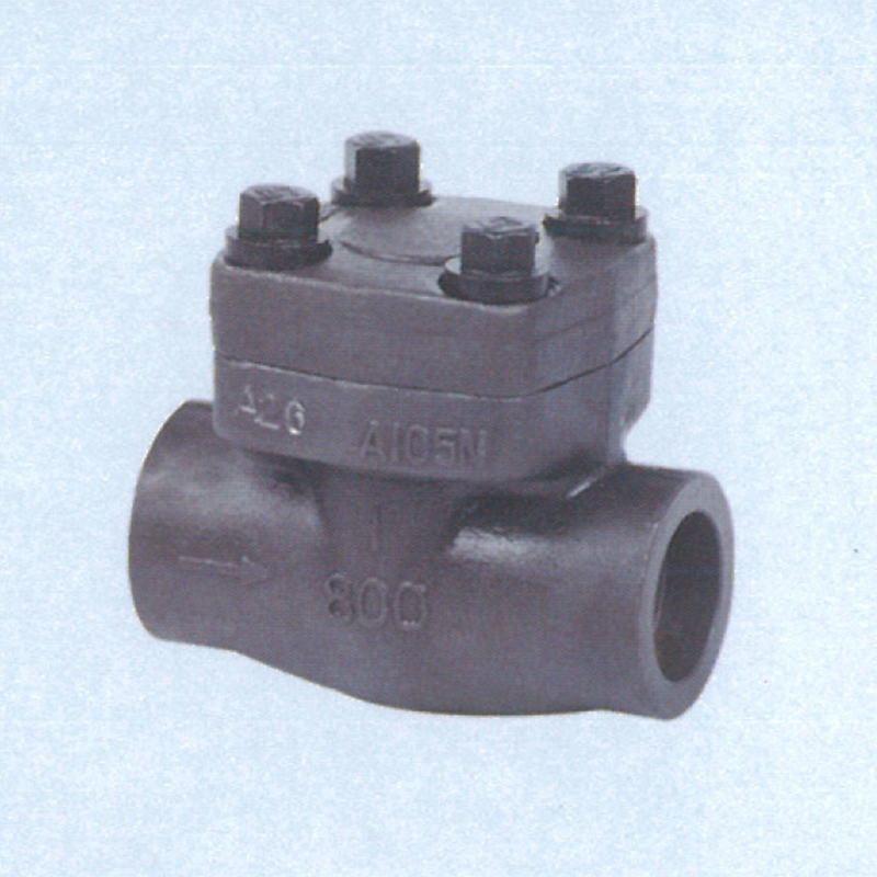 CLASS 150-1500 Forge Steel Check Valves in NPT & SW Ends