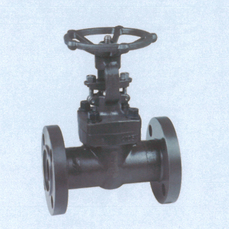 CLASS 150-600 Forge Steel Globe Valves in Flange & BW Ends