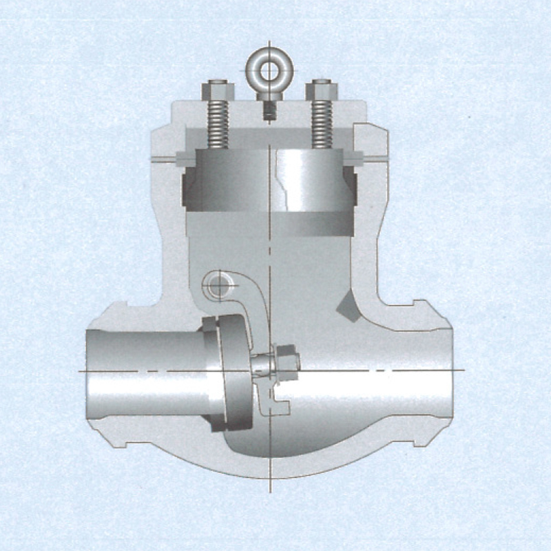 CLASS 900-2500 Pressure Sealed Swing Check Valve