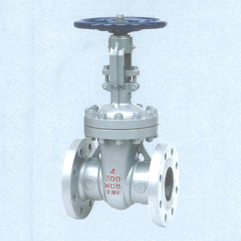 Cast Steel Wedge Gate Valve